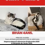 Picture of cat lost at Paris