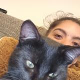 Picture of cat lost at La Garnache