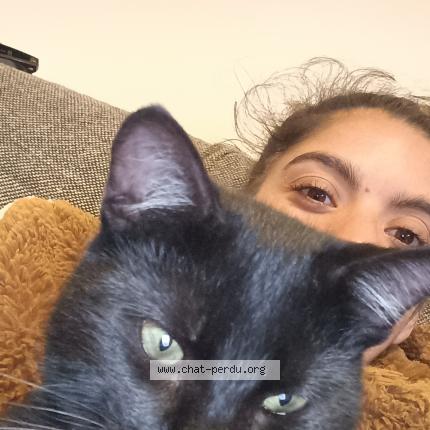 Photo 1/1 Jackie Chat lost in La garnache