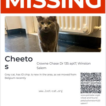 Photo 1/1 Cheetos Chat lost in Winston salem