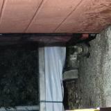 Picture of cat found at Le Cannet Des Maures