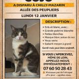 Picture of cat lost at Chilly Mazarin