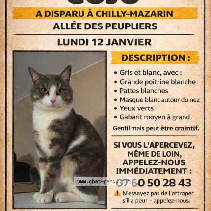 Photo 1/1 Gojo Chat lost in Chilly mazarin