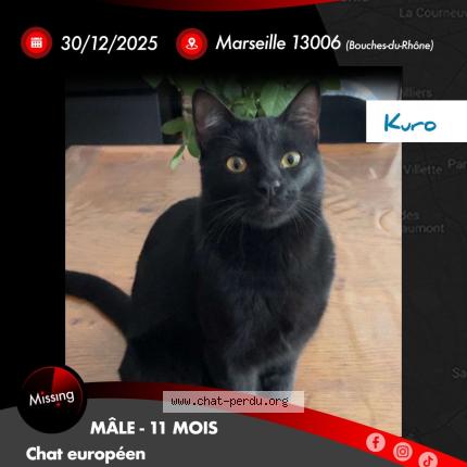 Photo 1/1 Kuro Chat lost in Marseille