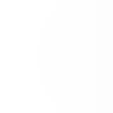 Picture of cat lost at Montech