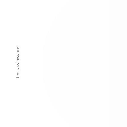 Photo 1/4 Bianka Chat lost in Montech