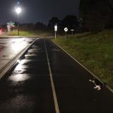 Picture of cat found at Vitrolles