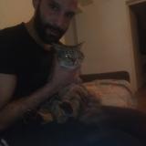 Picture of cat lost at Pommeuse