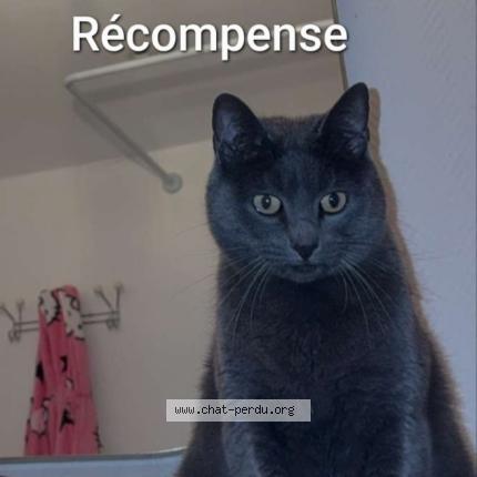 Photo 1/1 Bobby Chat lost in Roubaix