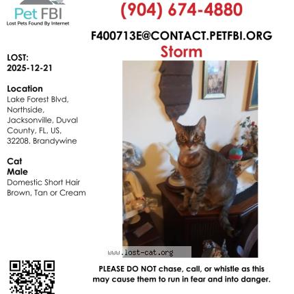 Photo 1/1 Theresa Dorman Chat lost in Jacksonville