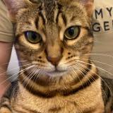 Mimi