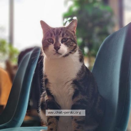 Photo 1/2 Soju Chat lost in Levis st nom