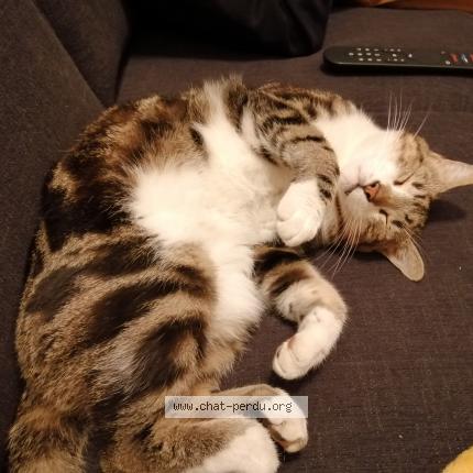 Photo 2/2 Soju Chat lost in Levis st nom