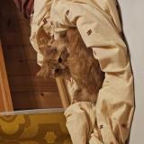 Picture of cat lost at Mezieres Vd