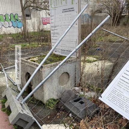 Photo 2/2 Found cat Found in Aubervilliers