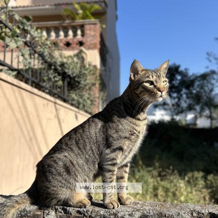 Photo 3/3 Shams Chat lost in Dehradun