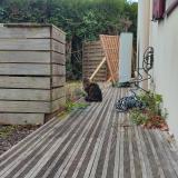 Picture of cat found at Haute Goulaine