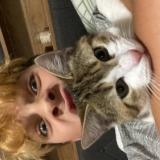 Picture of cat lost at Thury Harcourt