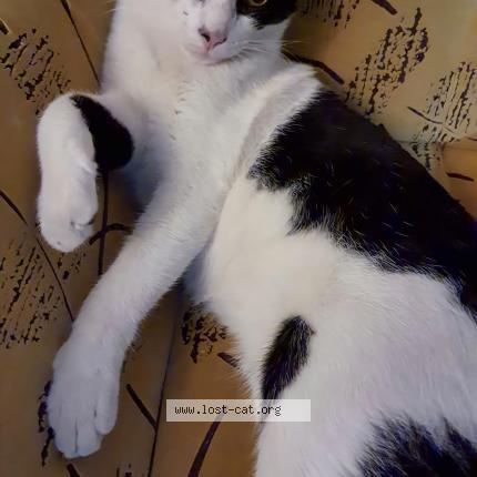 Photo 3/5 Tukku Chat lost in Calicut