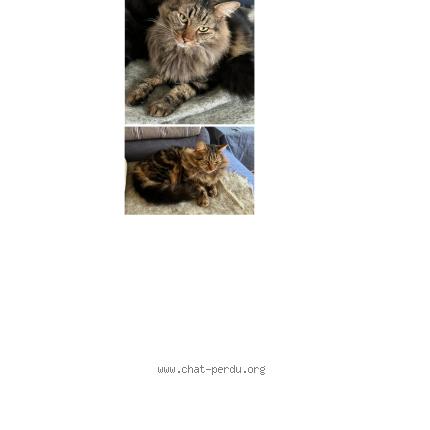 Photo 1/1 Lars Chat lost in La rochelle