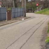 Picture of cat found at Arnage