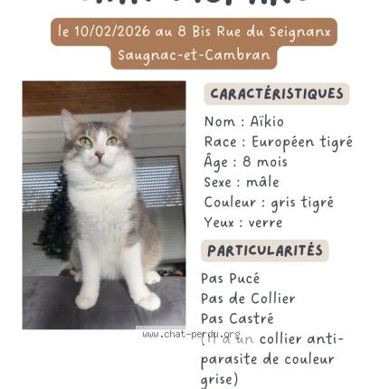 Photo 1/1 Aïkio Chat lost in Saugnac et cambran