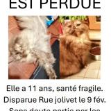 Pirlouette
