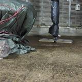 Picture of cat found at Santenay