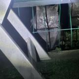 Picture of cat found at Grabels