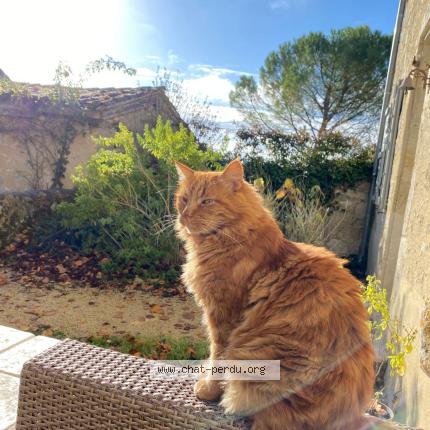 Photo 1/1 Ors Chat lost in Condom