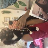 Picture of cat lost at New Braunfels