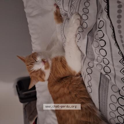 Photo 1/1 Jimmy Chat lost in Le mans