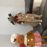 Picture of cat lost at Sollies Pint