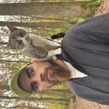 Picture of cat lost at Chemery