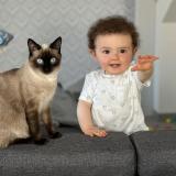 Picture of cat lost at Pusey