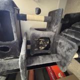 Picture of cat lost at Salt Lake City