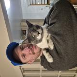 Picture of cat lost at Terrebonne