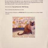 Picture of cat lost at 1700 Fribourg