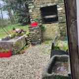 Picture of cat found at Plouye