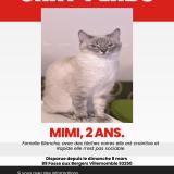 Picture of cat lost at Villemomble