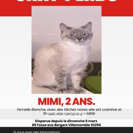 Photo 1/1 Mimi Chat lost in Villemomble