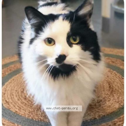 Photo 1/1 Mia Chat lost in Cannes