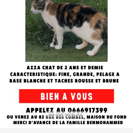 Photo 1/1 Azza Chat lost in Solaize