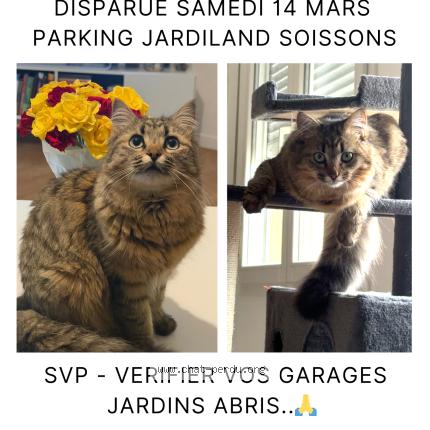 Photo 1/1 MIMI Chat lost in Soissons