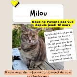 Picture of cat lost at Chanteloup Les Vignes