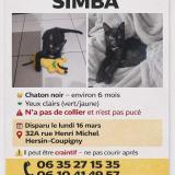 Picture of cat lost at Hersin Coupigny