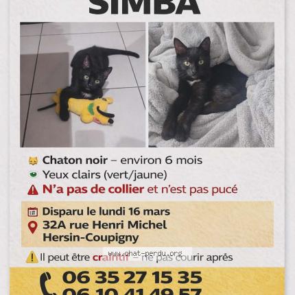 Photo 1/1 Simba Chat lost in Hersin coupigny
