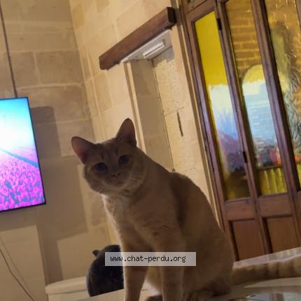 Photo 1/1 Garnacho Chat lost in Liancourt