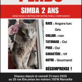 Picture of cat lost at Marseille