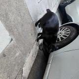 Picture of cat found at Nice